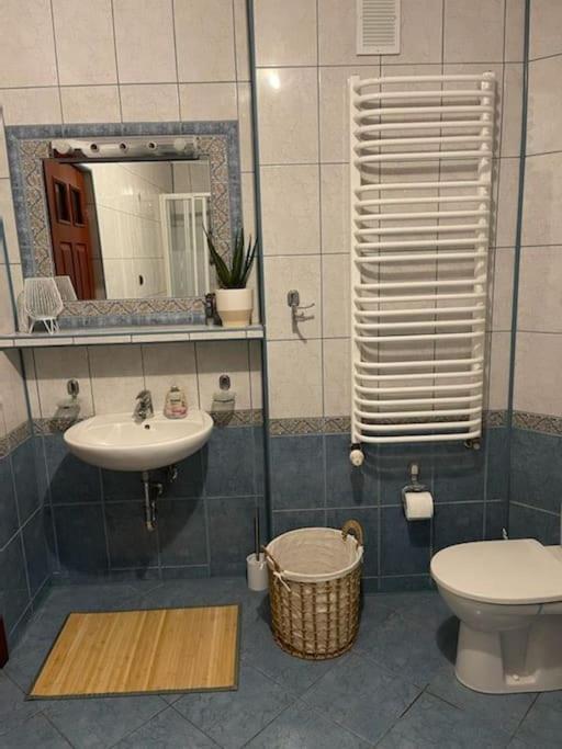 Urokliwy Dom W Nowym Saczu
